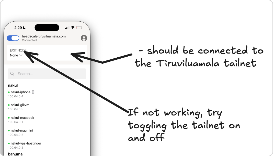 Connected to the tailnet, node list visible